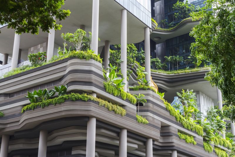 Biophilic Building