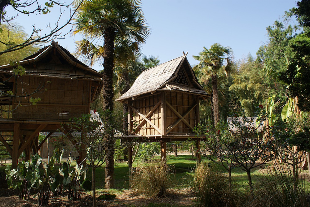 bamboo housing