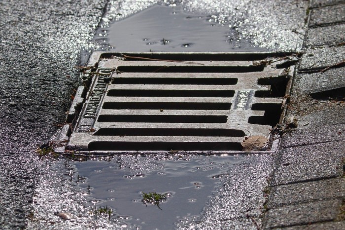 Drain gully