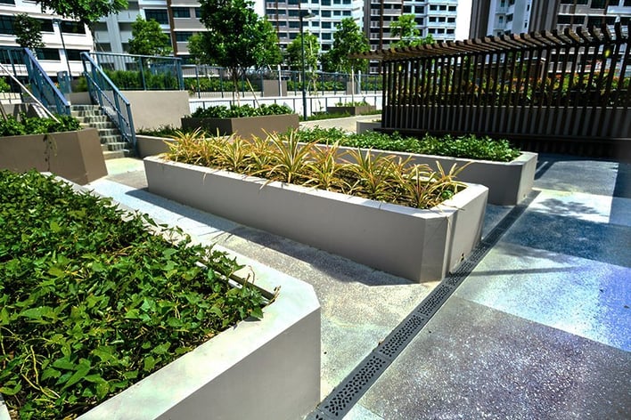 lined drains with plants