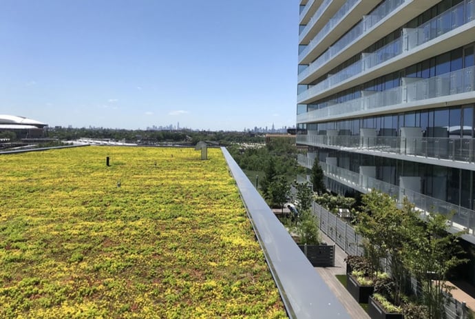 SkyView Parc Greenroof Trench Drain