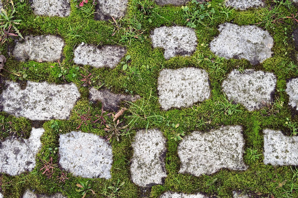 Grass paver with porous concrete paving