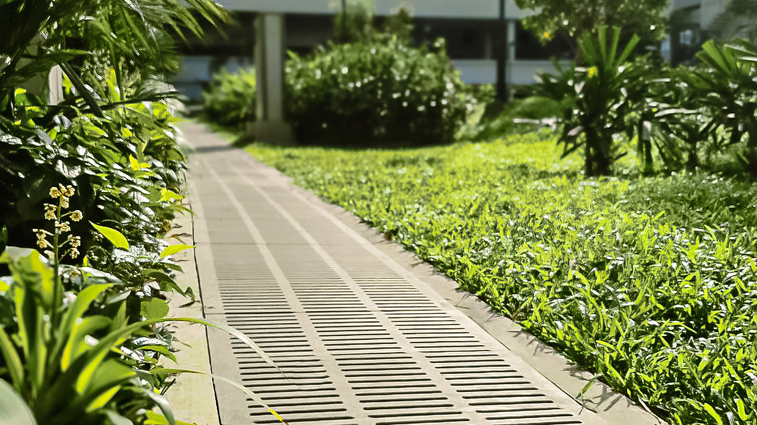 Close-up of a Jonite trench grate integrated into a sidewalk surrounded by greenery. The image highlights the use of sustainable materials in urban drainage solutions, providing both functionality and aesthetic appeal.